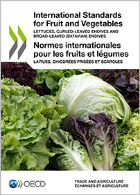 icon of the Lettuces, Curled-leaved Endives and Broad-leaved (Batavian) Endives brochure cover